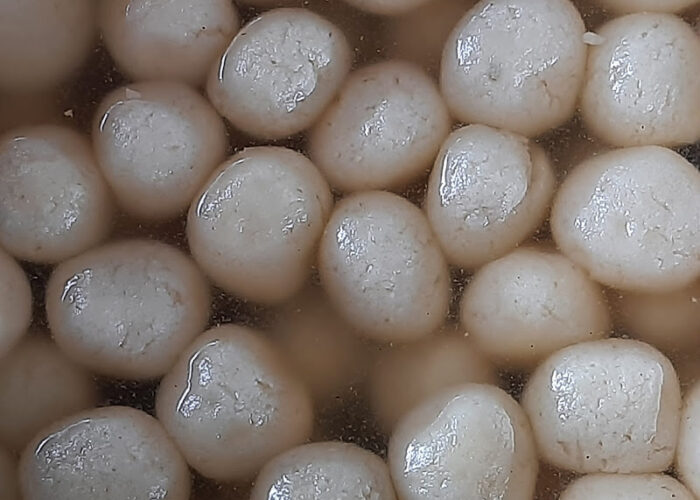 310264948_10224619091416169_4202799213892700273_n_10224619088456095